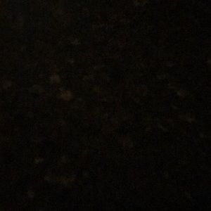 Meet your Posher, Janza